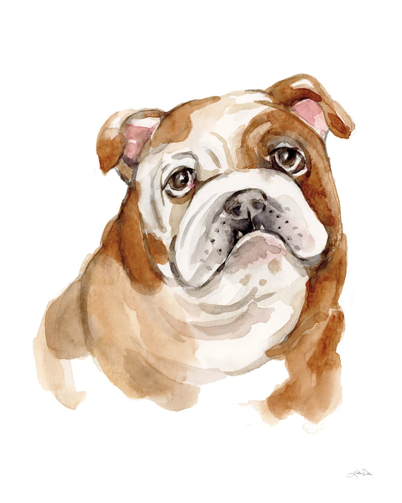 Dog Portrait III by Katrina Pete