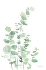 Eucalyptus I by Katrina Pete. SKU 70410h. Archival Giclee Fine art print for wall decor.