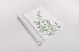 Eucalyptus I by Katrina Pete. shown as a rolled paper print. Available as archival giclee rolled canvas, fine art paper, or poster print. SKU 70410h.