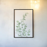 Eucalyptus I by Katrina Pete. shown as a paper print in a black flame. Available as a archival giclee rolled canvas, fine art paper, or poster print. SKU 70410h.