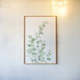 Eucalyptus I by Katrina Pete. shown as a paper print in a natural frame. Available as a archival giclee rolled canvas, fine art paper, or poster print. SKU 70410h.