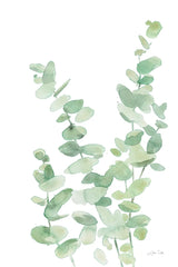 Eucalyptus II by Katrina Pete. SKU 70411h. Archival Giclee Fine art print for wall decor.
