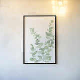 Eucalyptus II by Katrina Pete. shown as a paper print in a black flame. Available as a archival giclee rolled canvas, fine art paper, or poster print. SKU 70411h.