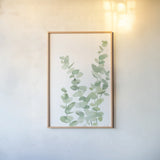 Eucalyptus II by Katrina Pete. shown as a paper print in a natural frame. Available as a archival giclee rolled canvas, fine art paper, or poster print. SKU 70411h.