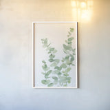 Eucalyptus II by Katrina Pete. shown as a paper print in a white frame. Available as a archival giclee rolled canvas, fine art paper, or poster print. SKU 70411h.
