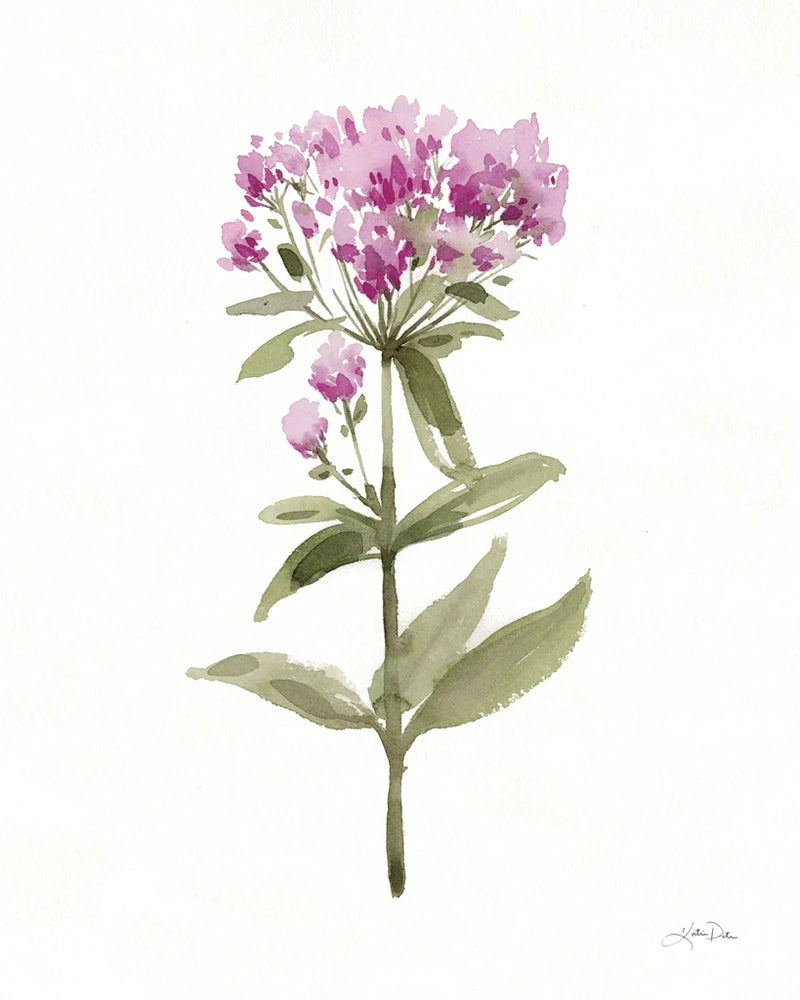Flowers of the Wild II by Katrina Pete