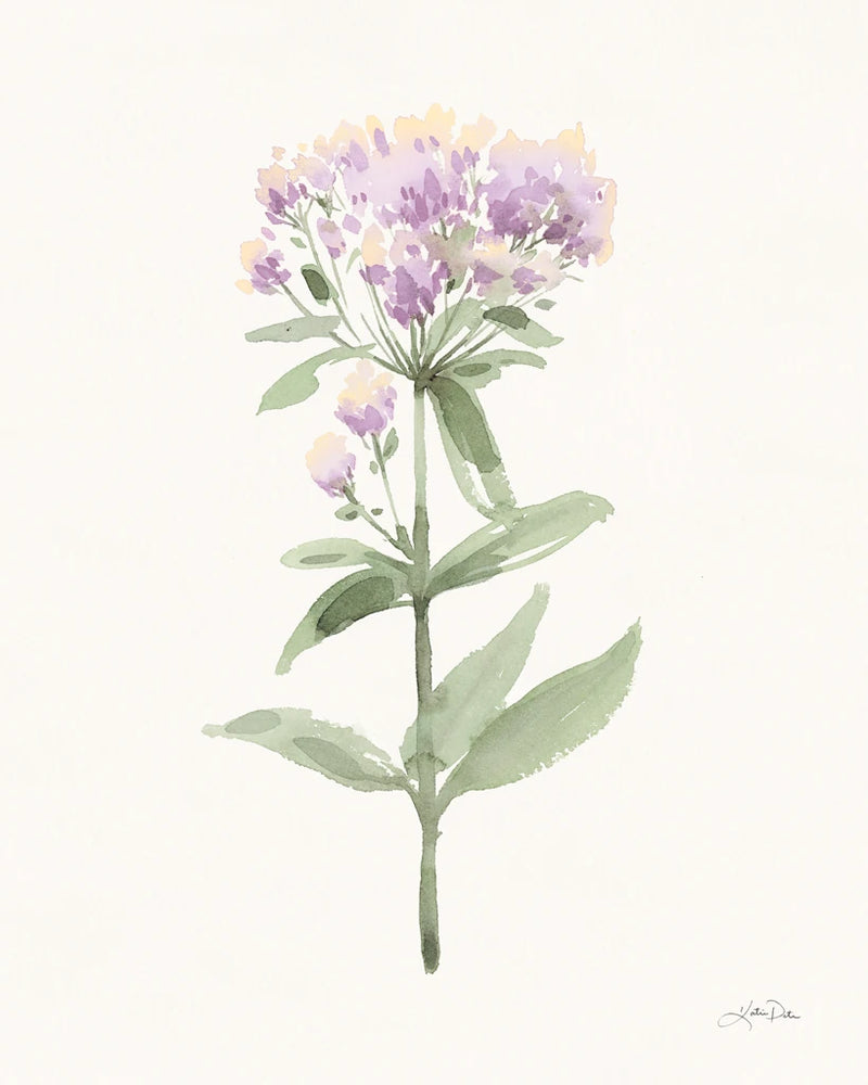 Flowers of the Wild II Pastel by Katrina Pete