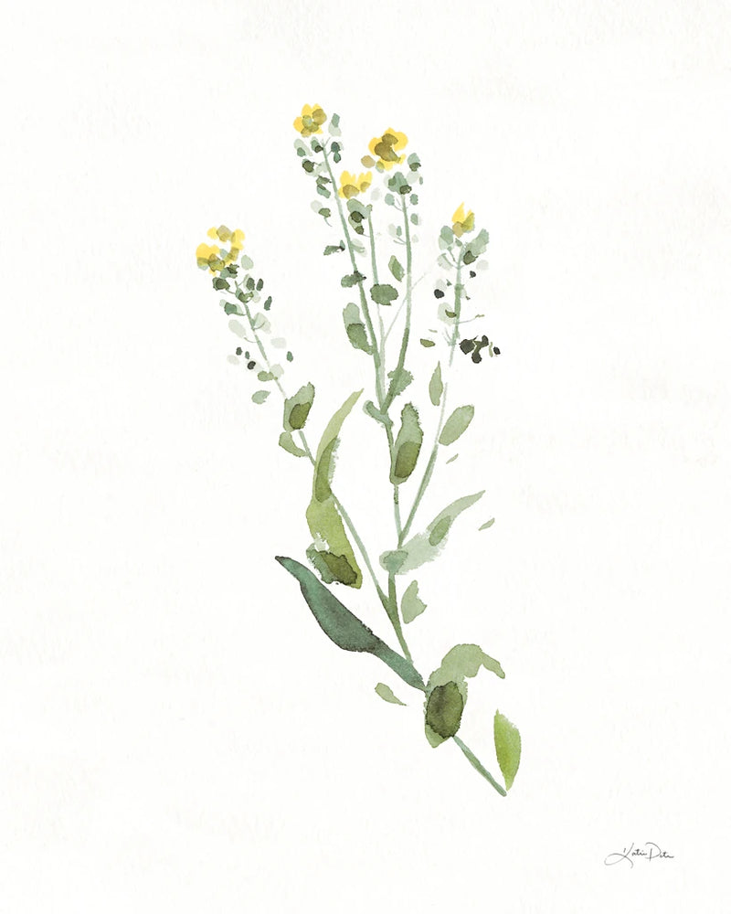 Flowers of the Wild IV by Katrina Pete