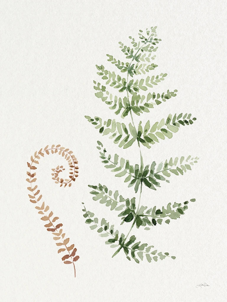 Forest Ferns I by Katrina Pete