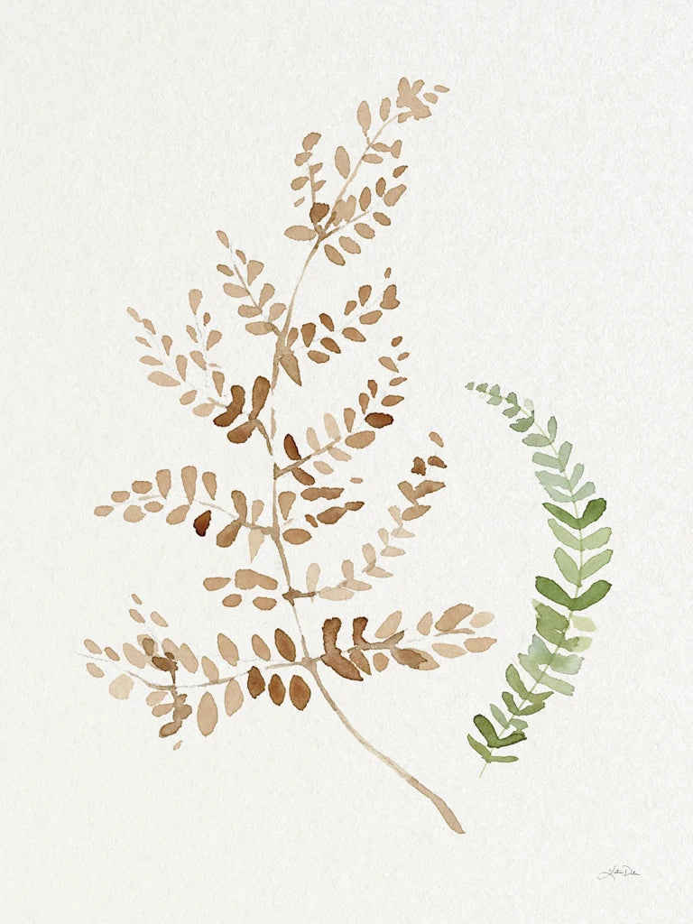 Forest Ferns II by Katrina Pete