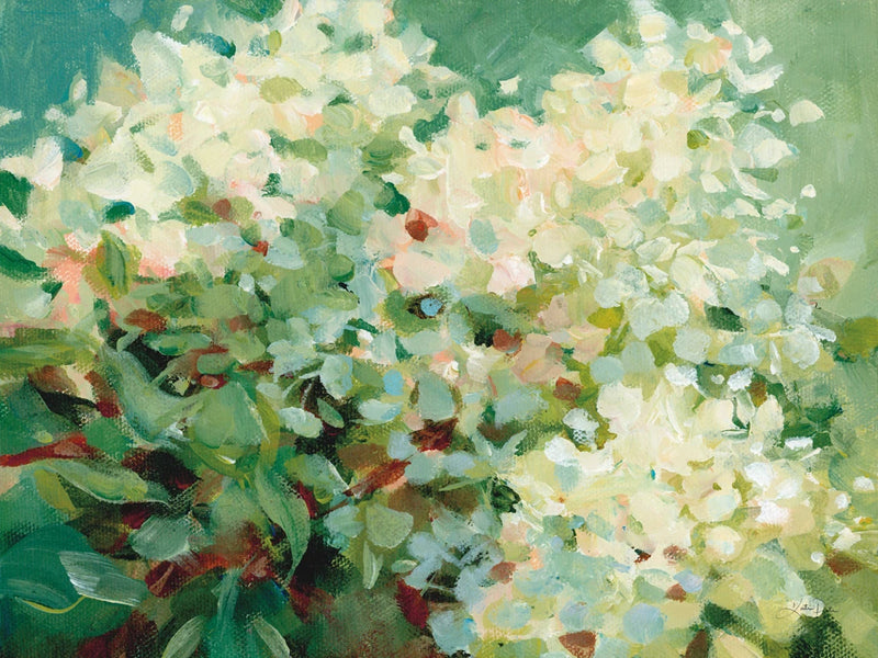 Humble Hydrangea by Katrina Pete