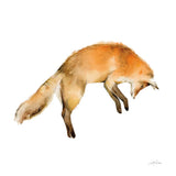 Jumping Fox on White by Katrina Pete. SKU 77223a. Archival Giclee Fine art print for wall decor.