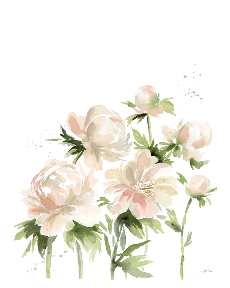Peonies I by Katrina Pete