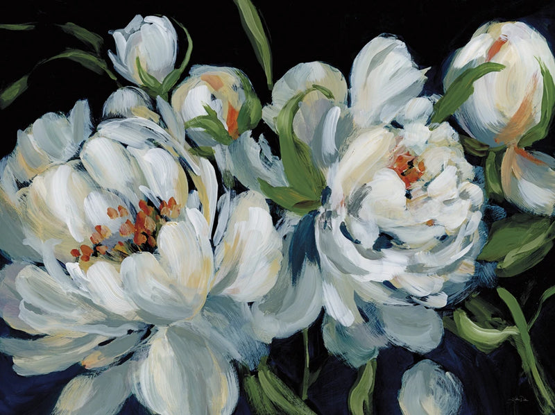 Peony Season I by Katrina Pete