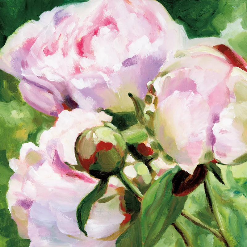 Pink Peony by Katrina Pete. SKU 98848a. Archival Giclee Fine art print for wall decor.