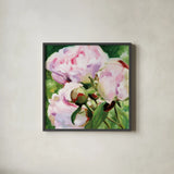 Pink Peony by Katrina Pete. Shown in a sleek black glass frame for a contemporary gallery look. Available as an archival giclee rolled canvas, fine art paper, or poster print. SKU 98848a.