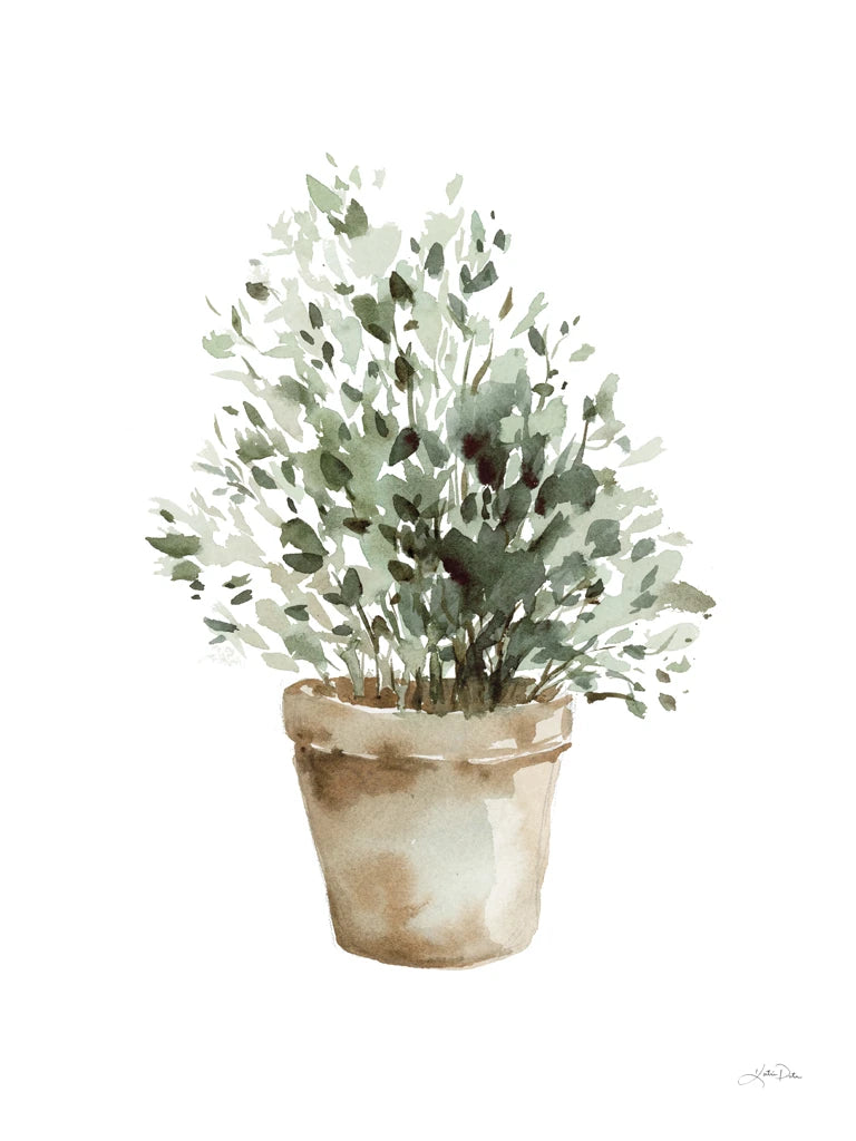 Potted Herbs by Katrina Pete