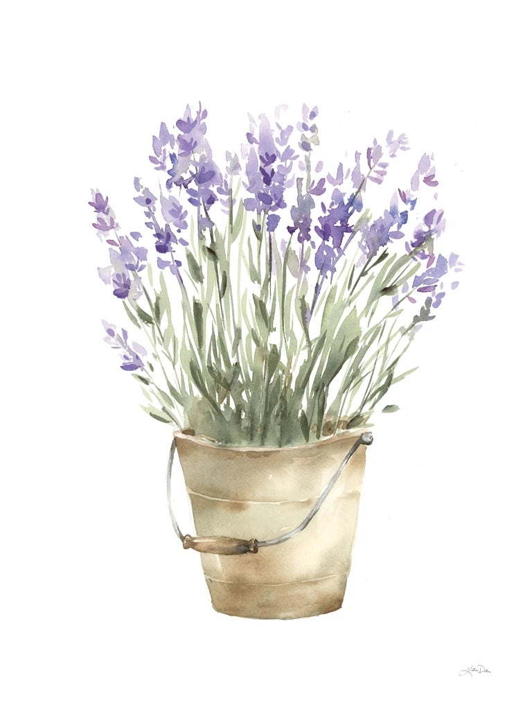 Potted Lavender by Katrina Pete