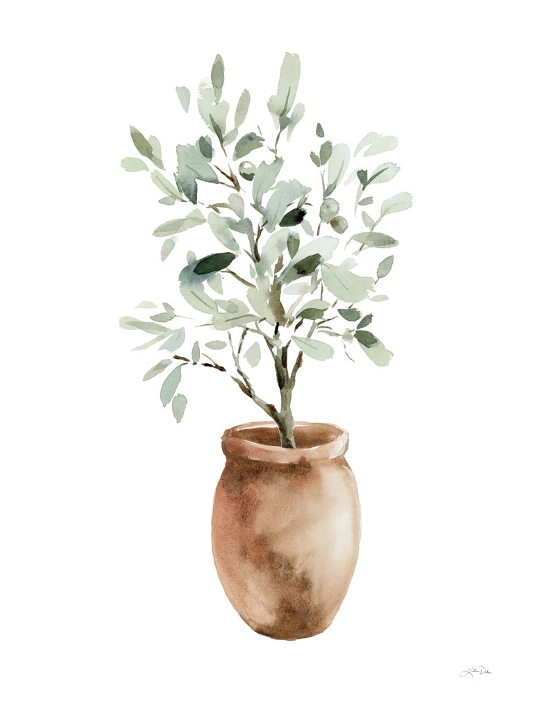 Potted Olive Tree by Katrina Pete