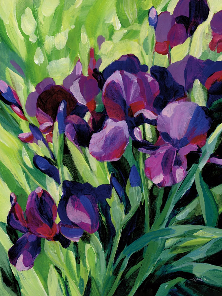 Purple Iris by Katrina Pete