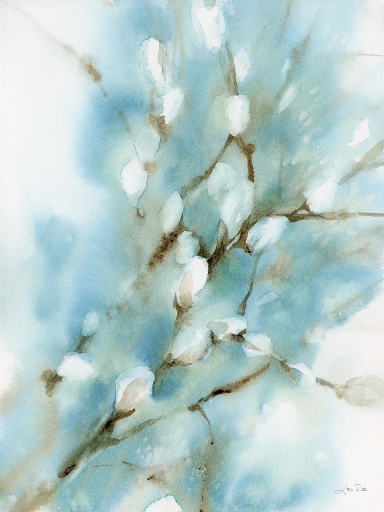 Pussy Willows by Katrina Pete
