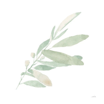 Sage I by Katrina Pete. SKU 65977a. Archival Giclee Fine art print for wall decor.
