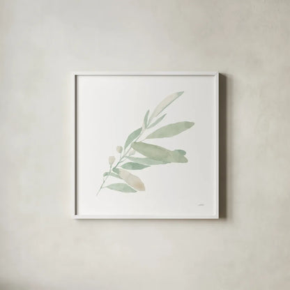 Sage I by Katrina Pete. Shown in a crisp white glass frame for a clean and minimalist style. Available as an archival giclee rolled canvas, fine art paper, or poster print. SKU 65977a.