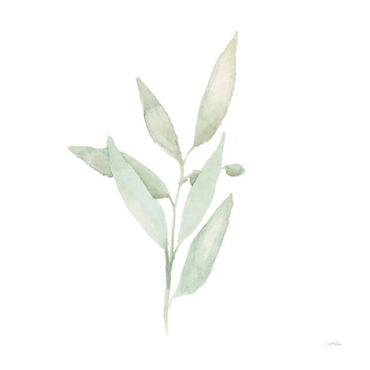 Sage II by Katrina Pete. SKU 65978a. Archival Giclee Fine art print for wall decor.