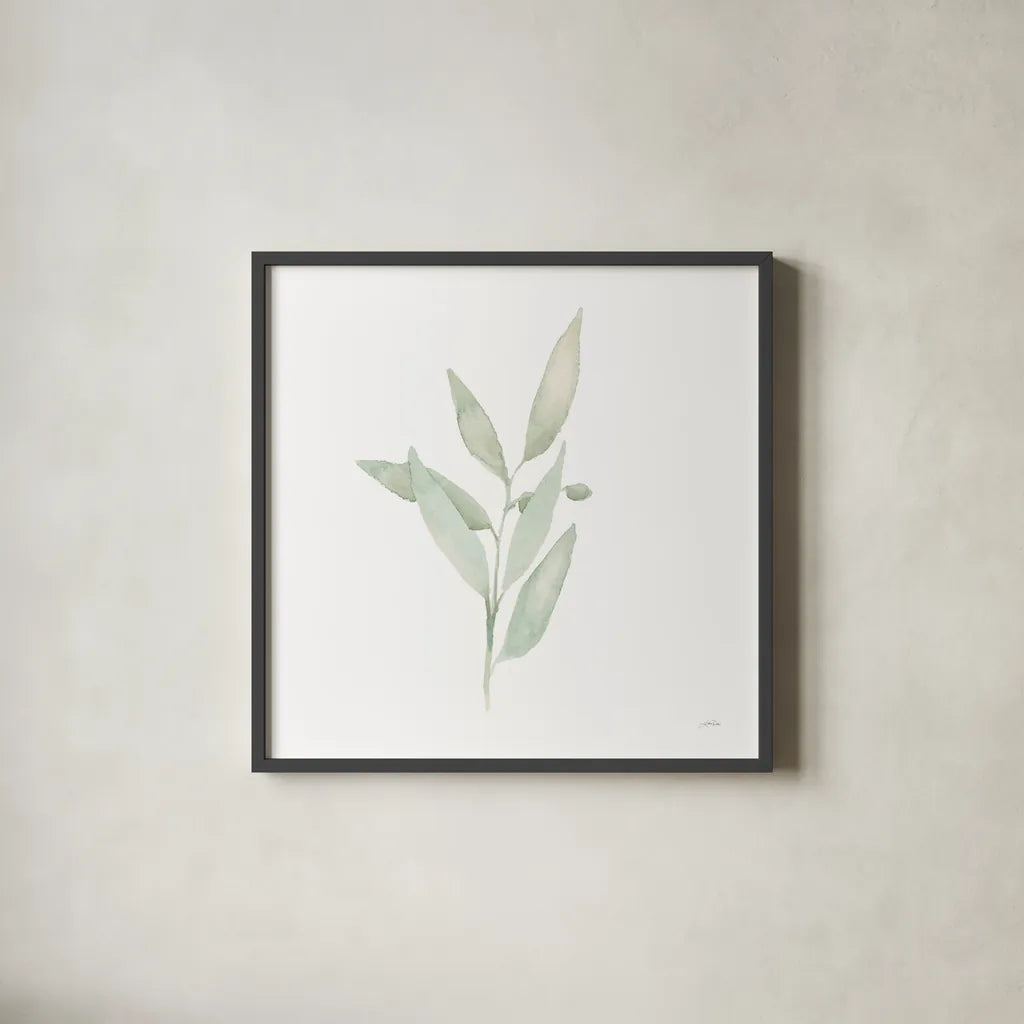 Sage II by Katrina Pete. Shown in a sleek black glass frame for a contemporary gallery look. Available as an archival giclee rolled canvas, fine art paper, or poster print. SKU 65978a.
