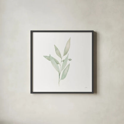 Sage II by Katrina Pete. Shown in a sleek black glass frame for a contemporary gallery look. Available as an archival giclee rolled canvas, fine art paper, or poster print. SKU 65978a.