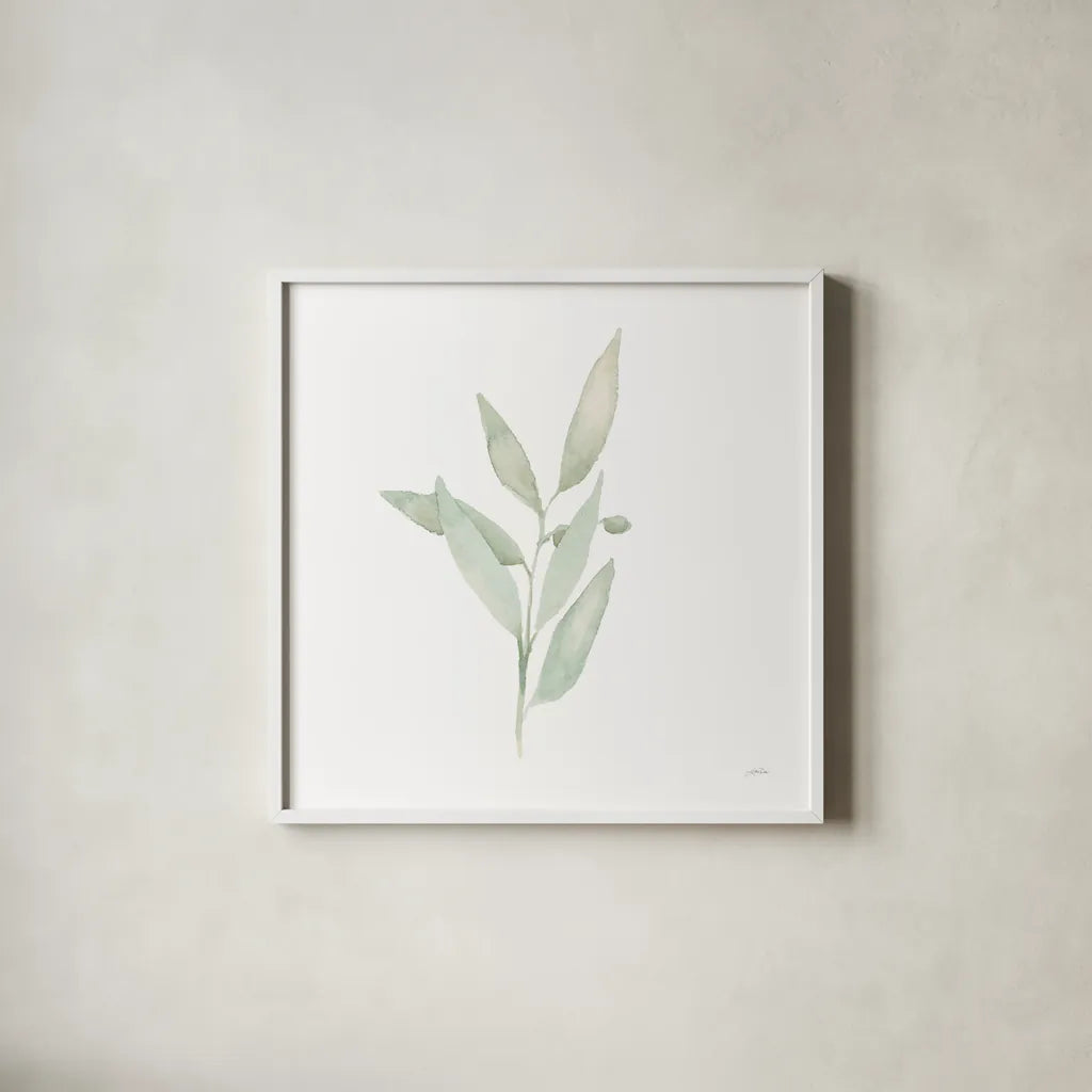 Sage II by Katrina Pete. Shown in a crisp white glass frame for a clean and minimalist style. Available as an archival giclee rolled canvas, fine art paper, or poster print. SKU 65978a.