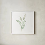 Sage II by Katrina Pete. Shown in a crisp white glass frame for a clean and minimalist style. Available as an archival giclee rolled canvas, fine art paper, or poster print. SKU 65978a.