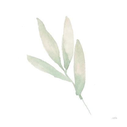 Sage III by Katrina Pete. SKU 65979a. Archival Giclee Fine art print for wall decor.