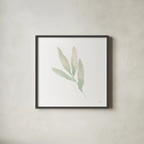 Sage III by Katrina Pete. Shown in a sleek black glass frame for a contemporary gallery look. Available as an archival giclee rolled canvas, fine art paper, or poster print. SKU 65979a.