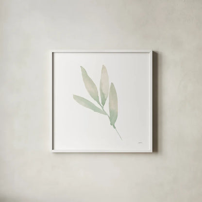 Sage III by Katrina Pete. Shown in a crisp white glass frame for a clean and minimalist style. Available as an archival giclee rolled canvas, fine art paper, or poster print. SKU 65979a.