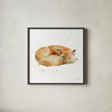 Sleeping Fox by Katrina Pete. Shown in a sleek black glass frame for a contemporary gallery look. Available as an archival giclee rolled canvas, fine art paper, or poster print. SKU 76203a.