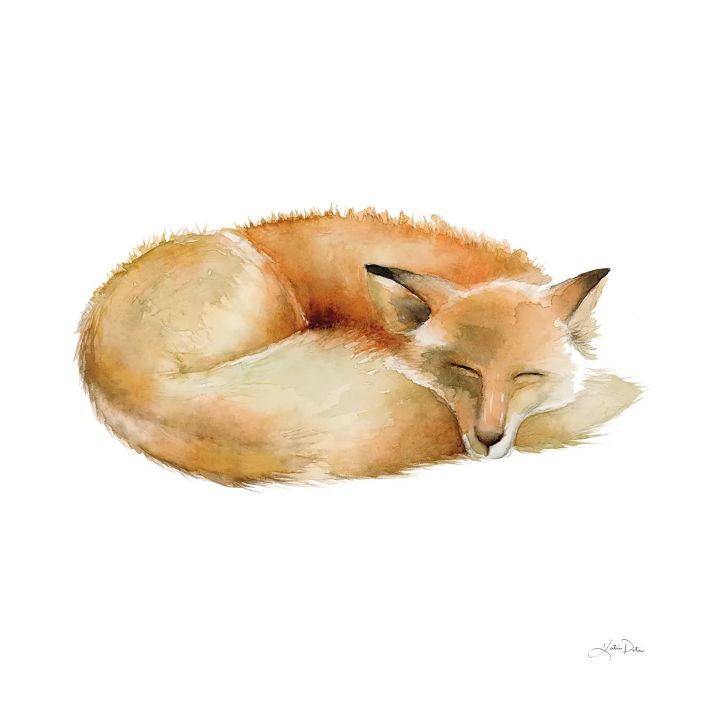 Sleeping Fox on White by Katrina Pete. SKU 77224a. Archival Giclee Fine art print for wall decor.