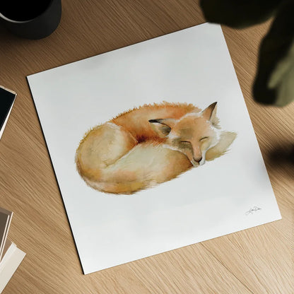 Sleeping Fox on White by Katrina Pete. Shown as a detailed flat fine art print, highlighting archival giclee quality. Available as an archival giclee rolled canvas, fine art paper, or poster print. SKU 77224a.