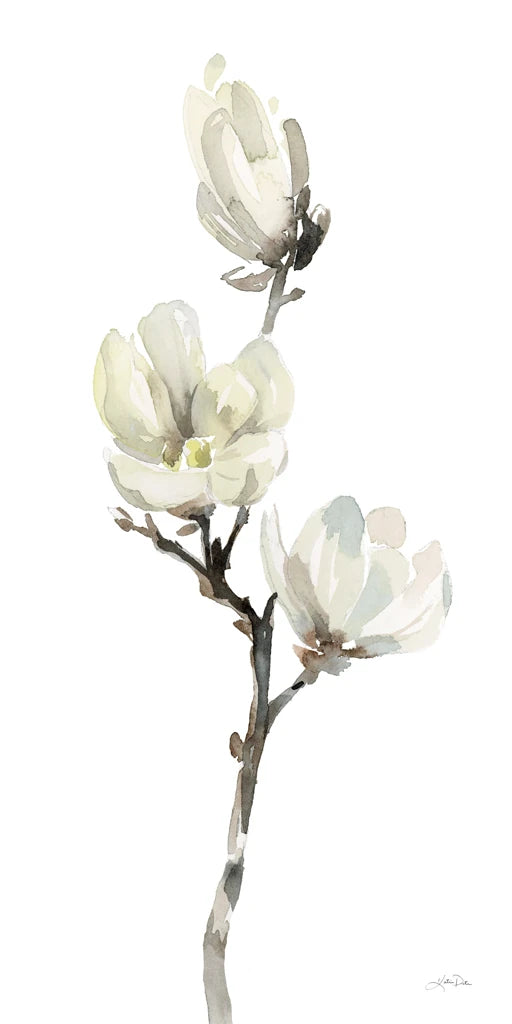 White Magnolia I by Katrina Pete