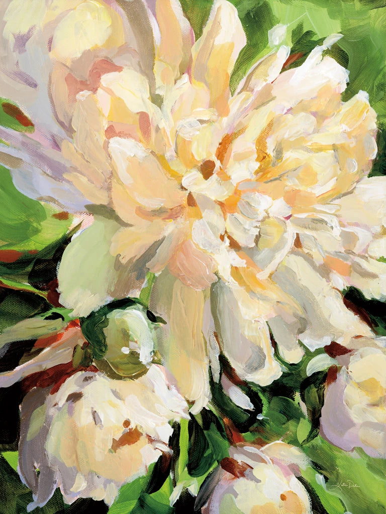 White Peony by Katrina Pete