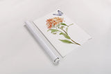 Wild for Wildflowers II by Katrina Pete. shown as a rolled paper print. Available as archival giclee rolled canvas, fine art paper, or poster print. SKU 82751h.