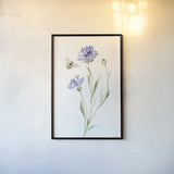 Wild for Wildflowers III by Katrina Pete. shown as a paper print in a black flame. Available as a archival giclee rolled canvas, fine art paper, or poster print. SKU 82752h.