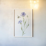Wild for Wildflowers III by Katrina Pete. shown as a paper print in a white frame. Available as a archival giclee rolled canvas, fine art paper, or poster print. SKU 82752h.