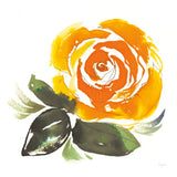Bold Roses II by Kristy Rice. SKU 58112a. Archival Giclee Fine art print for wall decor.
