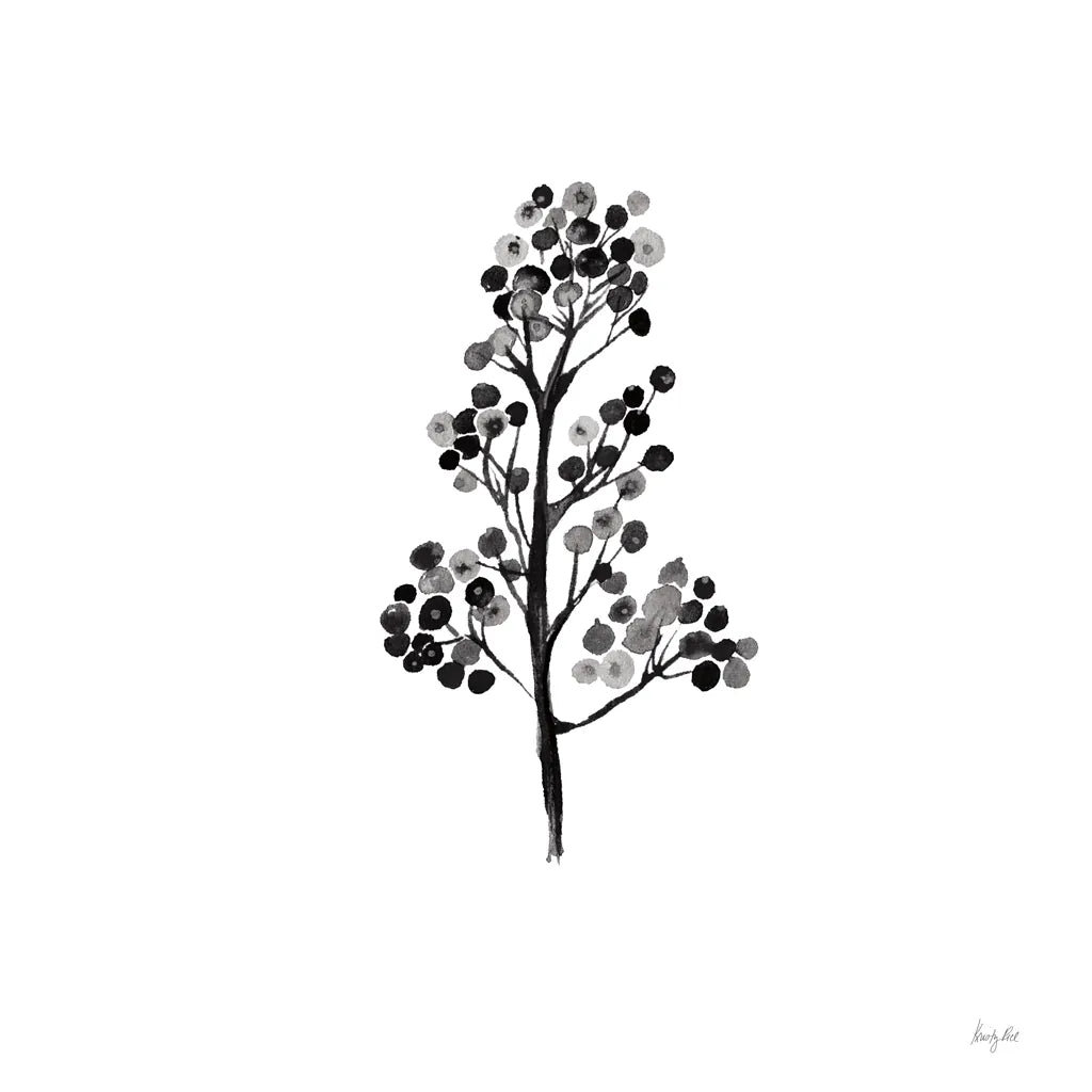 Botticelli Plant IV Black by Kristy Rice. SKU 74411a. Archival Giclee Fine art print for wall decor.