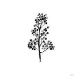 Botticelli Plant IV Black by Kristy Rice. SKU 74411a. Archival Giclee Fine art print for wall decor.