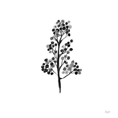 Botticelli Plant IV Black by Kristy Rice. SKU 74411a. Archival Giclee Fine art print for wall decor.