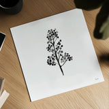 Botticelli Plant IV Black by Kristy Rice. Shown as a detailed flat fine art print, highlighting archival giclee quality. Available as an archival giclee rolled canvas, fine art paper, or poster print. SKU 74411a.