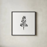 Botticelli Plant IV Black by Kristy Rice. Shown in a sleek black glass frame for a contemporary gallery look. Available as an archival giclee rolled canvas, fine art paper, or poster print. SKU 74411a.