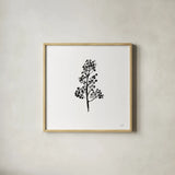 Botticelli Plant IV Black by Kristy Rice. Shown in a natural wood glass frame for a timeless modern aesthetic. Available as an archival giclee rolled canvas, fine art paper, or poster print. SKU 74411a.